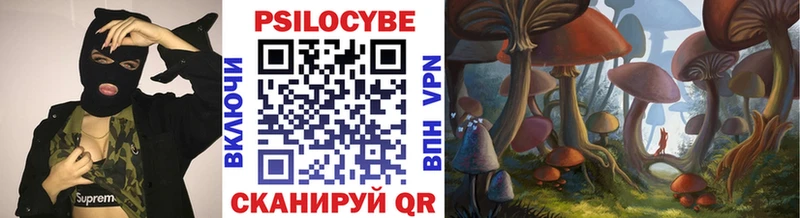 Купить закладки Северодвинск Галлюциногенные грибы Psilocybine cubensis
